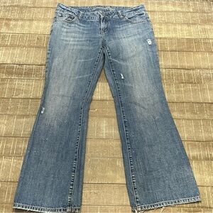 America Eagle Favorite Boyfriend Blue Jeans 10
